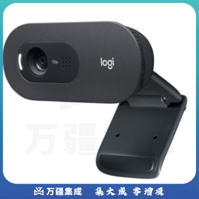 罗技（Logitech）C505e 高清摄像头720P 办公会议 网课教学