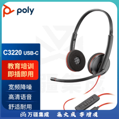 博诣 POLY 缤特力C3220头戴式电脑耳机 办公会议耳麦 客服话务耳机 降噪麦克风USB直连电脑（TYPE-C接口 下单请备注）