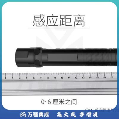 科密(comet) CXD-12 巡更点 巡更机巡更棒巡逻棒 保安巡逻打点器感应式巡查点 10个/盒 适用CX05/08/11/12/13