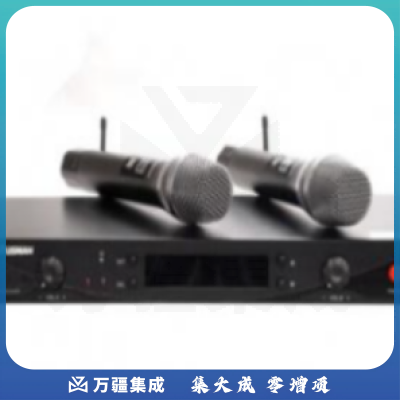 功能厅无线麦克风DS-UT20 湖山话筒一拖二
