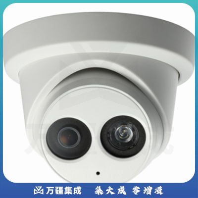 海康威视（HIKVISION）DS-2CD2325-I 网络摄像机