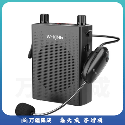 维尔晶（W-King）KS16小蜜蜂扩音器教师专用无线麦克风耳麦话筒讲课上课用音响便携式喇叭【黑色无线版】（白色款下单请备注）