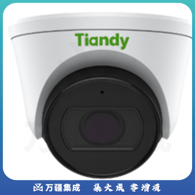 天地伟业(TIANDYTECH)400万像素级半球摄像机 TC-C55SN(台)