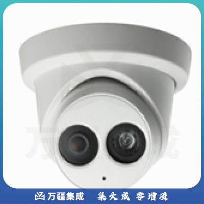 海康威视 网络摄像机 DS-2CD2325F-ISZC