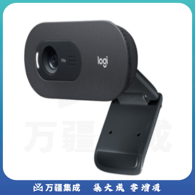 罗技(Logitech) C505e 高清摄像头720P 办公会议 网课教学