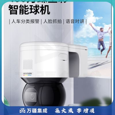海康威视监控摄像头400万高清臻全彩智能人脸抓拍语音对讲网线供电室内室外球机2DC3A40BX-DE