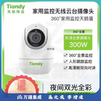 天地伟业（Tiandy）家用监控 无线云台 摄像头 手机远程监控 高清夜视 300万像素 焦距4mm 天鹅蛋 TD-H242N