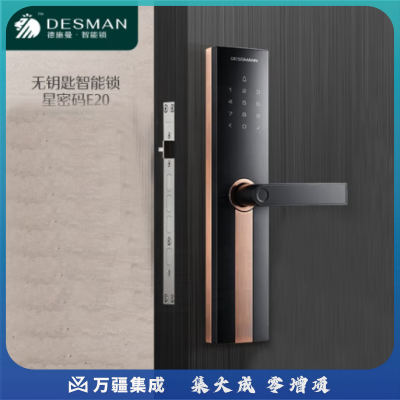 德施曼（DESSMANN）指纹锁智能门锁 智能锁电子锁家用防盗门锁密码锁 E20