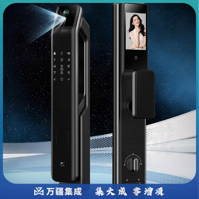 德施曼（DESMAN）掌静脉识别 可视猫眼高清大屏