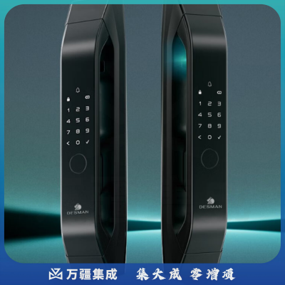 德施曼（DESMAN）全自动指静脉智能锁非传统指