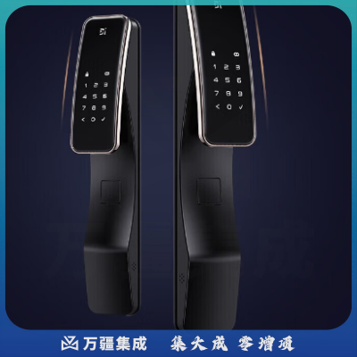 德施曼（DESMAN）全自动智能锁指纹密码锁天鹅Q2