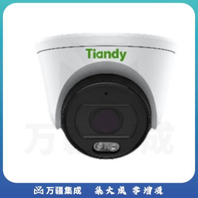 天地伟业500万 红外半球网络摄像机 TC-C55SN
