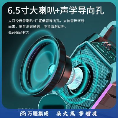 先科 A30 无线蓝牙音箱户外大音量广场舞音响小型家用收音机手提便携式带麦克风地摊摆摊喇叭升级版