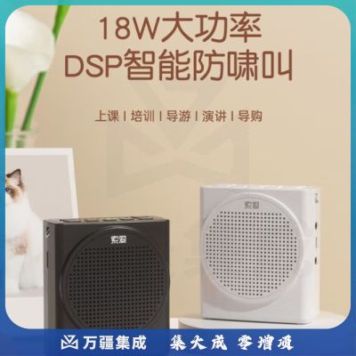 索爱S638UHF小蜜蜂扩音器无线教师专用18W功率智能防啸叫300S一键录蓝牙音箱喇叭教学导游导购Type-c黑