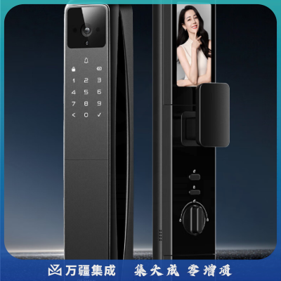 德施曼（DESMAN）指纹锁智能门锁密码锁电子锁视频锁 可视猫眼大屏 Q50MPro 哨兵版