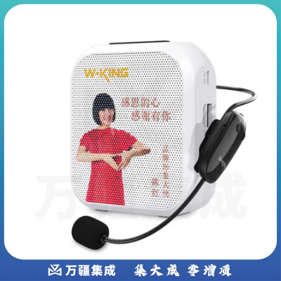 维尔晶（W-King）KS02+小蜜蜂扩音器教师学校单位宣传扩音器导游大音量讲解器 无线版