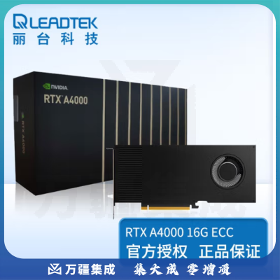 丽台（LEADTEK） NVIDIA RTX A4000 16GB 建模设计绘图台式机专业图形显卡 RTX A4000 16G 全新盒装