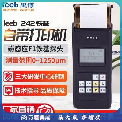 leeb里博242高精度涂层测厚仪数显油漆膜测厚仪铁基铝基镀锌层厚度计 leeb242铁基