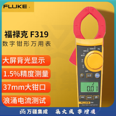 福禄克（FLUKE）F319 钳形万用表 多用表 电流表万能表 钳表仪器仪表