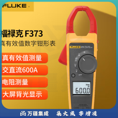 福禄克（FLUKE）F373 真有效值交流数字钳形表 600A