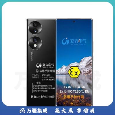 塞飞斯特 KTW262-9安兴5G防爆手机 化工专用防爆手机 8 256G