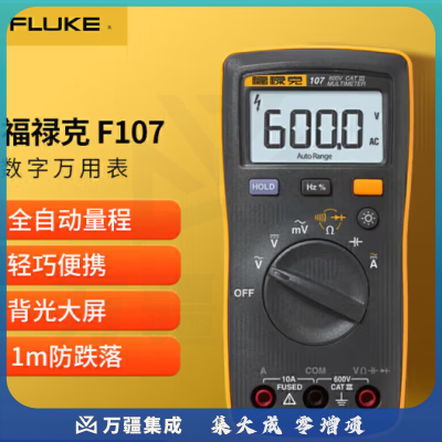 福禄克（FLUKE）F107 数字万用表 掌上型多用表万能表 自动量程电流表 仪器仪表