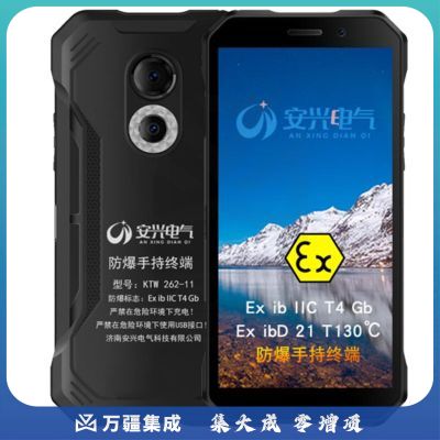 塞飞斯特 KTW262-11安兴4G防爆手机 化工专用防爆手机 6 64G