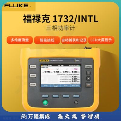 福禄克（FLUKE）1732/INTL 三相功率计