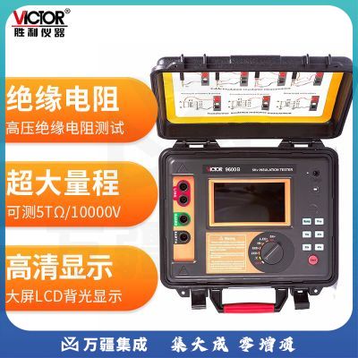 胜利仪器（VICTOR）高压绝缘电阻测试仪 兆欧表 电阻测试器 VC9600B