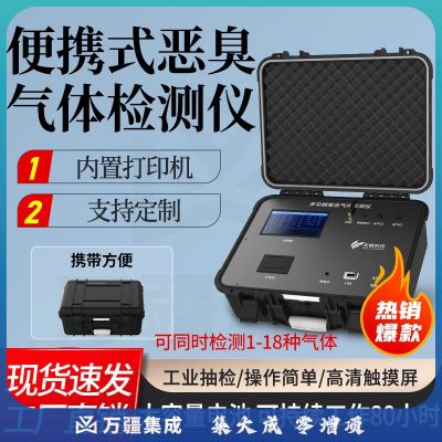奕帆科技便携式恶臭气体检测仪氨气硫化氢OU浓度甲烷臭气味在线监测分析仪 便携式恶臭检测仪【定制】