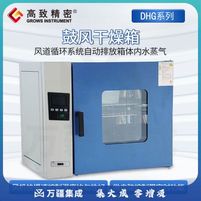 高致精密 电热恒温鼓风干燥箱工业烘箱鼓风恒温烘干箱DHG系列实验室烘干机 DHG-9240A (不锈钢内胆 220L)