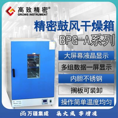 高致精密 精密鼓风干燥箱 BPG-A系列烘箱恒温烤箱电热实验室干燥箱 BPG-9420A600*550*1300