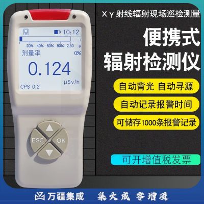 北上（BESOON）便携式核辐射检测仪 环境级Xγ射线辐射巡检仪电离辐射剂量率监测 BES-5300标配