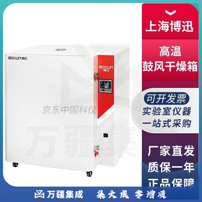 上海博迅BGG系列实验室高温鼓风干燥箱400℃ 500℃烘箱 BGG-38高温鼓风干燥箱