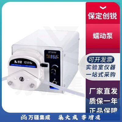 保定创锐BT300M/BT600M实验室大流量蠕动泵恒流泵 BT300M+YZ1515x