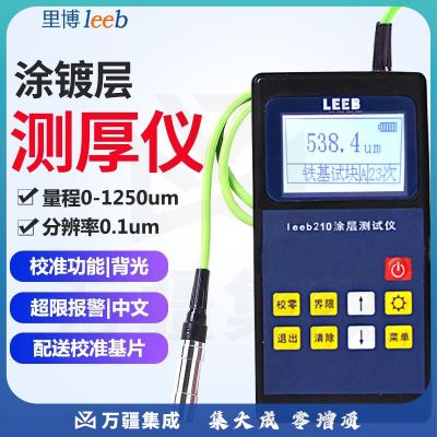 里博（leeb）高精度电镀锌层测厚仪涂镀层厚度测量仪汽车油漆膜仪涂层测厚仪 Leeb210铁基磁感应