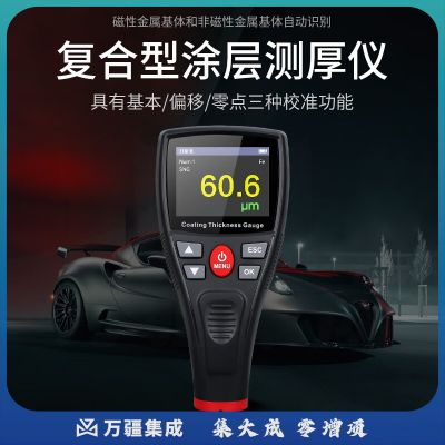 韦度（WD）涂层测厚仪漆膜仪0.1μm镀锌层油漆厚度测量仪汽车漆面检测仪 涂层测厚仪WT2110