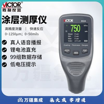 胜利仪器 VICTOR高精度数显测厚仪铁铝两用涂层测厚仪厚度测试仪 VC852A一体式涂层测厚仪