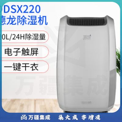 德龙（DeLonghi） DDSX220 除湿机抽湿量20升/天干衣吸湿器适用约30㎡