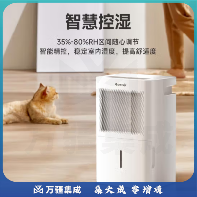 格力（GREE）DH40EMA1A除湿机/抽湿机除湿量40升/天家用地下室复式别墅商用工业吸湿器 70-120㎡适用