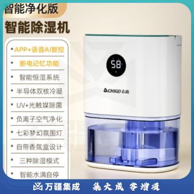 志高（CHIGO） 除湿机 家用抽湿机除湿器 卧室地下室干燥机 吸湿去湿除潮防潮回南天除湿神器 1L/天 2-20㎡ 语音WIFI智控款 ZG-2106