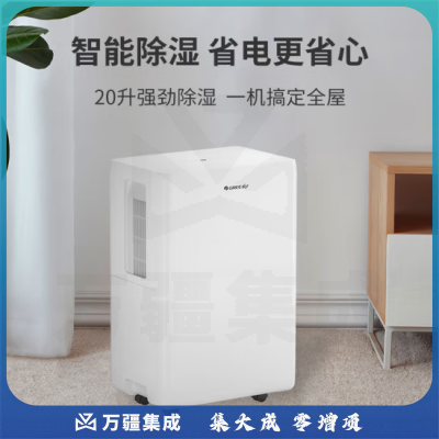 格力（GREE）DH20EOA2A除湿机/抽湿机除湿量20升/天家用轻音地下室干衣除湿器 20-40㎡适用