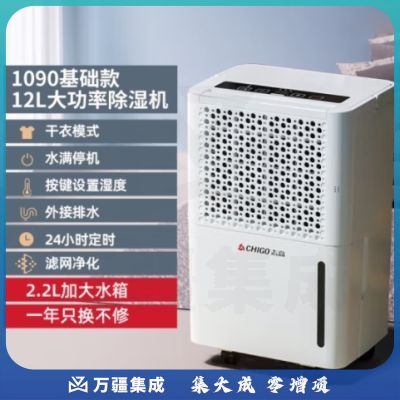 志高（CHIGO） 除湿机 家用抽湿机除湿器 卧室地下室干燥机 吸湿去湿除潮防潮回南天除湿神器 12L/天 2-20㎡ 【滤网净化】强劲压缩机款 ZG-FD1090