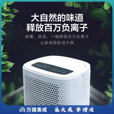海尔（Haier） 除湿机/抽湿机/除湿器 12L/天 家用轻音卧室地下室档案室防霉吸湿器 干燥机干衣机 负离子除菌DE12DU1