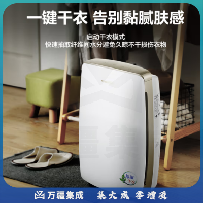 格力（GREE）DH20EH抽湿机/除湿机 除湿量20升/天 家用轻音卧室办公室地下室干衣除湿器 智能数控
