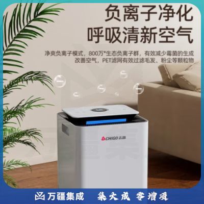 志高（CHIGO） 除湿机/抽湿机/除湿器 20-40㎡家用轻音净化吸湿器卧室地下室工业干燥机干衣机 12L/天 20-40㎡ 全屋除湿 ZG-FD1080