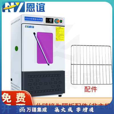 恩谊 生化培养箱恒温恒湿试验箱箱霉菌细菌微生物培养箱实验室 MJX霉菌培养箱 隔板