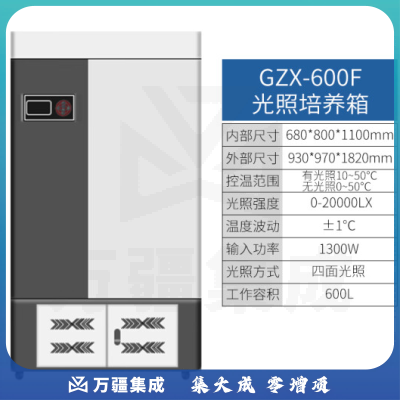 恩谊 人工气候培养箱实验室植物种子催芽发芽箱恒温光照培养箱 GZP光照培养箱 强光照600升