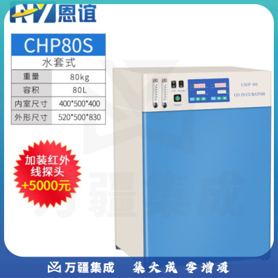 恩谊 二氧化碳培养箱CO2微生物细菌恒温培养箱厌氧培养箱细胞厌氧箱 CHP-80S水套