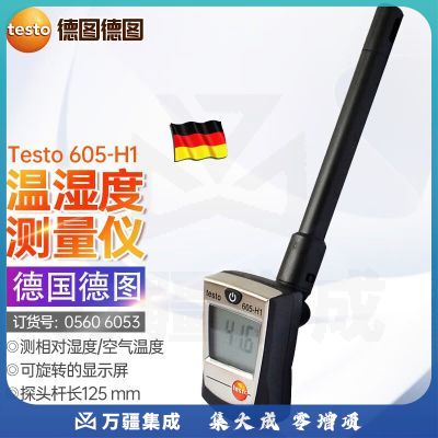 德图（testo）605-H1露点温湿度计温湿度仪625温湿度表露点表桌上温湿度仪表 605-H1管道式迷你温湿度仪